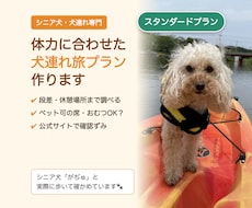 シニア犬の体力に合わせた犬連れ旅プラン作ります 段差・休憩・おむつまで調べる、シニア犬・犬連れ専門