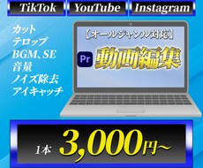 TikTokやリールなどショート動画制作承ります イメージ1