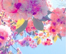 誰かに話したいけど話せない…お気持ちに寄り添います イメージ1