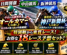 ３日間開催中央競馬❗️全１８レース予想します イメージ1