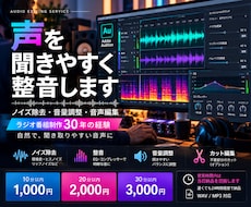 ノイズ除去・整音で声を聞きやすくします イメージ1