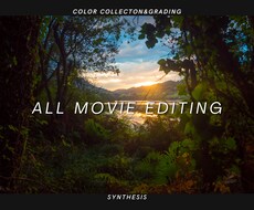 カラグレから合成／編集まで動画関係は全て行います 動画編集歴10年以上の経験による思い通りの動画加工を実現！