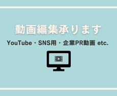 YouTube・SNS・企業動画の動画編集します イメージ1