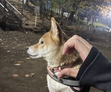 寝る前の雑談や愚痴聞きます イメージ1