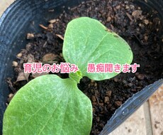 お子さんの発達の不安相談に乗ります イメージ1