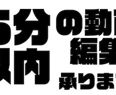 動画字幕編集承ります イメージ1