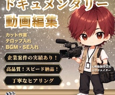 ドキュメンタリー動画の編集を行います イメージ1