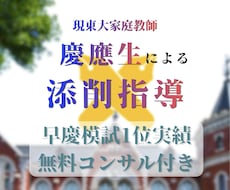 早慶模試1位が英作文・小論文などを徹底添削します イメージ1