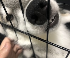 今この場で疲れている方、心のマッサージをします 心のコリをほぐしませんか？今日、明日少しでも心身を楽に