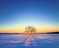 否定せず、あなたの心をゆっくり整えます イメージ1