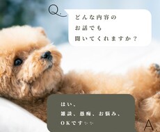 どんな話も聞きます！雑談、お悩み、愚痴を聞きます イメージ1