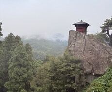 悩みや恋愛、距離の縮め方や愛され方を伝授します イメージ1