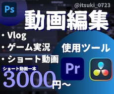 動画編集をして最高の動画を作るサポートをします イメージ1
