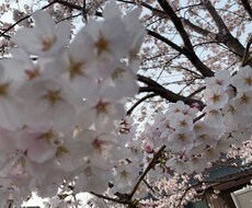 旦那さん(男)目線で夫婦関係の相談のります イメージ1