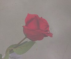 女子高生とお話出来ちゃいます イメージ1