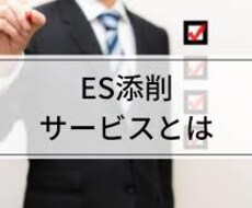 グランドスタッフ内定！ES添削します イメージ1