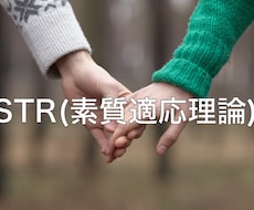 占いよりも当たるSTR。好きな人の事をより知れます 8割当たるSTR(素質適応理論)好きな人のことをもっと知れる
