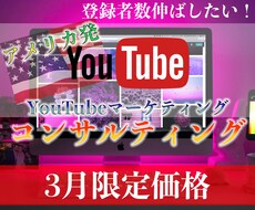 プロがYouTubeチャンネルコンサルします 【3月限定価格】アメリカのマーケティング知識提供します