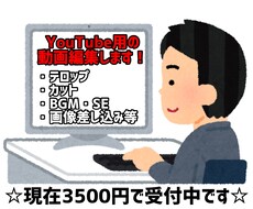 YouTubeやSNSの動画編集致します イメージ1