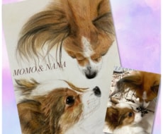 パステルと色鉛筆で犬の似顔絵を描きます 写真のようにリアルで、写真よりも優しい仕上がりです