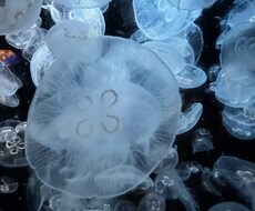 お友達感覚でも、彼女感覚でも…お話ききます イメージ1