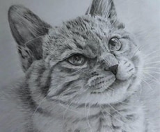 愛猫・愛犬などペットの似顔絵を描きます 可愛がっているペットのお気に入りの画像を鉛筆画にしませんか！