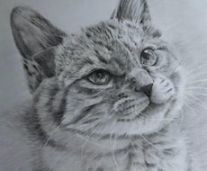 愛猫・愛犬などペットを鉛筆画で似顔絵を描きます 完成した絵を確認後の購入なので安心！確認後のキャンセルも無料