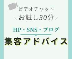 お試し30分｜サイト改善・集客アドバイスします 本格的な分析前に気軽に質問したい方へ