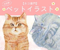 ネコ専門★水彩画ペットイラスト待ち受け画を作ります イメージ1