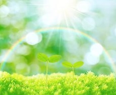 あなたの心に寄り添います イメージ1