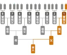 あなたの家の家系図、格安でお作りします イメージ1