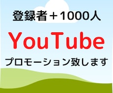 登録者数＋1000人までプロモーション致します あなたのYouTubeチャンネルをプロモーションします!