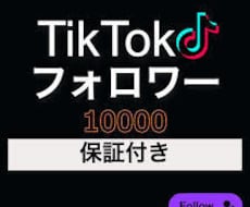TikTokフォロワー10000人増加します イメージ1