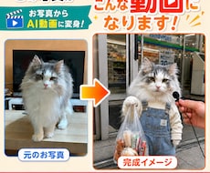 ペットの写真からAI動画を制作します 写真数枚から可愛いペットAI動画を制作