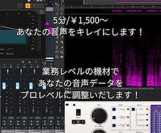 音声をクリアに！あなたの音声をキレイに届けます イメージ1
