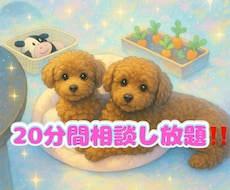 大切なペットからの気持ち、メッセージをお伝えします イメージ1