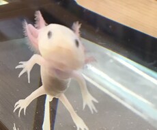 悩める看護学生さん、看護師1年目の相談のります 看護師の卵さんに向けたメンタルケア