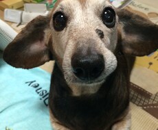 心の暗闇晴らします イメージ1