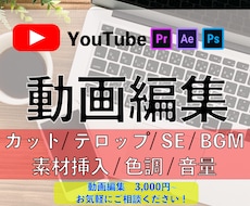 Youtube/SNS/広告 動画編集します イメージ1