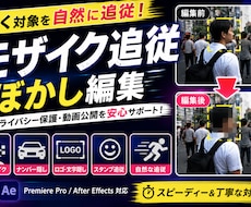 モザイク追従・ぼかし追跡を承ります イメージ1