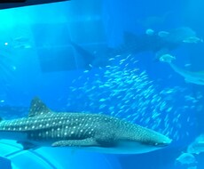 あなたの相談乗ります♪ イメージ1