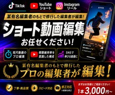 バズるSNS動画を編集します イメージ1