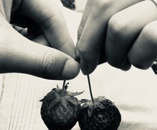 あなたの願望叶えます イメージ1