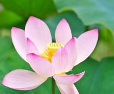 霊視鑑定いたします イメージ1