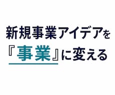新規事業アイデアの事業性をレビューします イメージ1