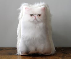 ペットロス　うちの子（犬　猫）のぬいぐるみ作ります 裏面のファーが、虹の橋を渡ったウチの子を撫でている様な感覚に