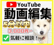 YouTube/ショート動画を丁寧に仕上げます 長期でのご依頼大歓迎です！^ ^