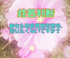 姓名判断：あなたのお名前の素質、鑑定します ペンネーム、芸名もOK！可愛い鑑定書で結果をお届けします♡
