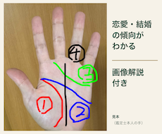 画像解説付き｜手相で恋愛と結婚の傾向を読み解きます イメージ1