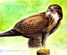 ペット等動物のデッサン、イラストお描きします イメージ1